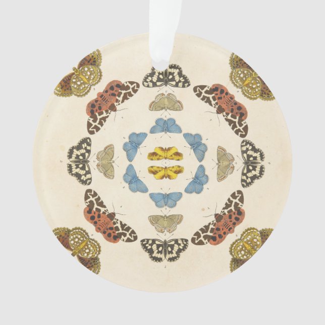 Une description rare des papillons et des mites (devant)