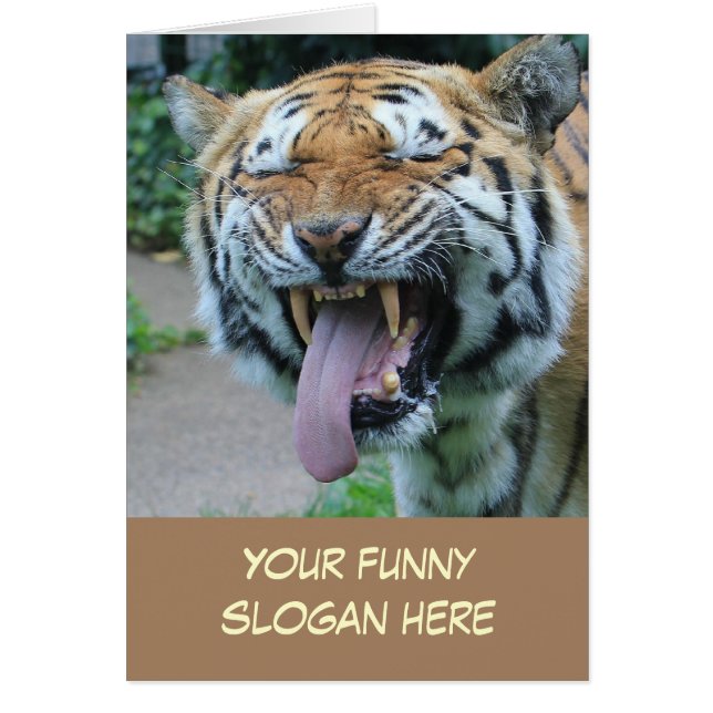 Une drôle de photo de tigre pour vous Customiser (Devant)