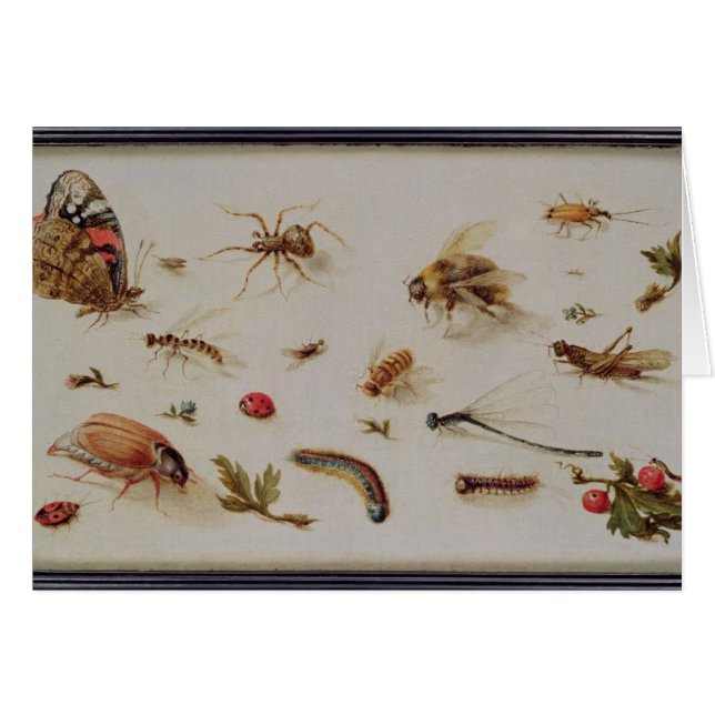 Une étude des insectes (Devant horizontal)