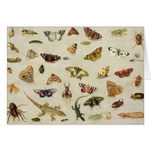 Une étude des insectes