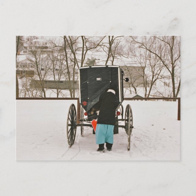 Une Femme Amish Chargement Buggy- Carte Postale (Devant)
