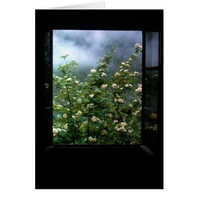 UNE FEMME DANS L'AMOUR (Devant)