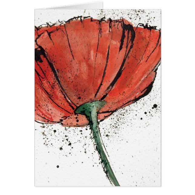 Une fleur fermée sur un arrière - plan blanc (Devant)