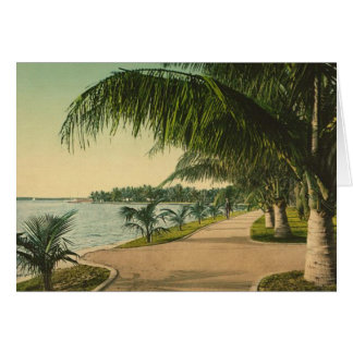 Une Floride différente