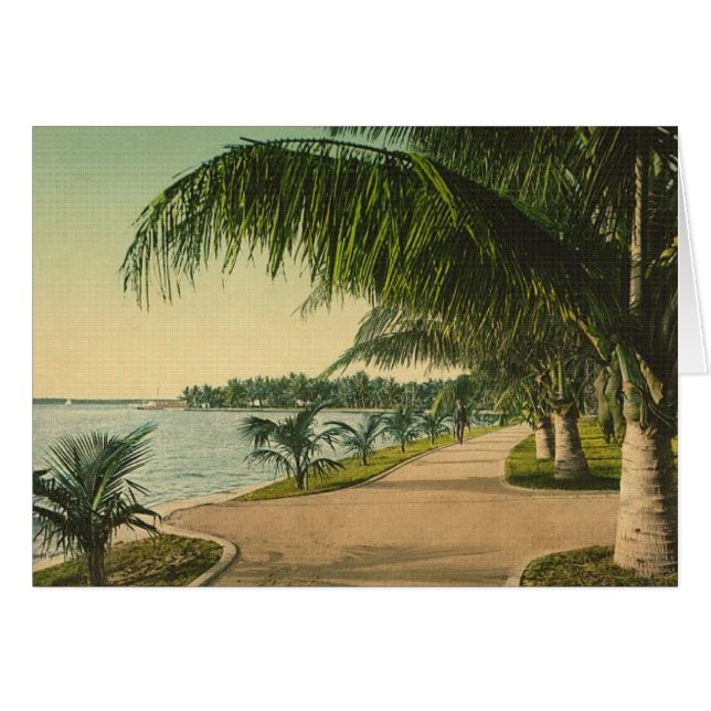 Une Floride différente (Devant horizontal)