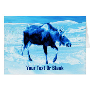 Une Fois Dans Une Oie Bleue