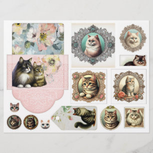 Une grande enveloppe plus de beaux chats dans des
