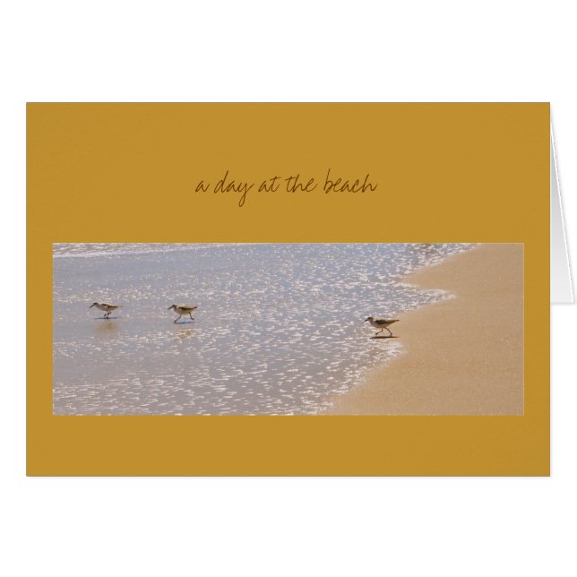 Une journée à la plage (Devant Horizontal)