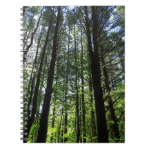 Une marche dans le Woods Journal