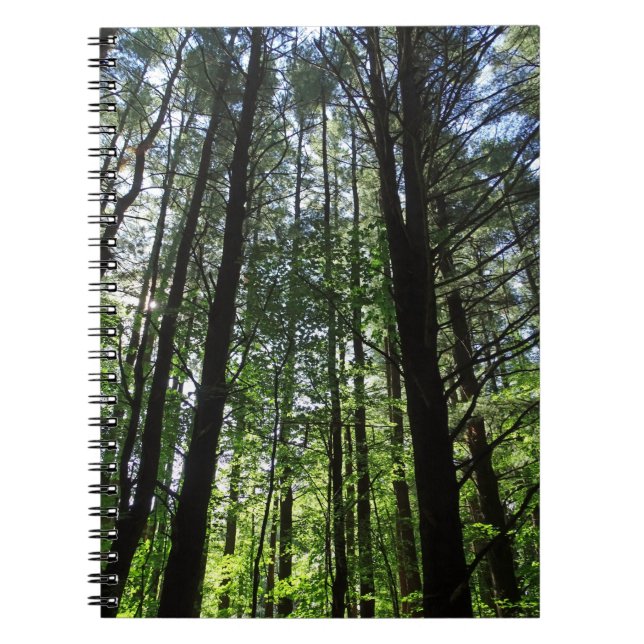 Une marche dans le Woods Journal (Devant)