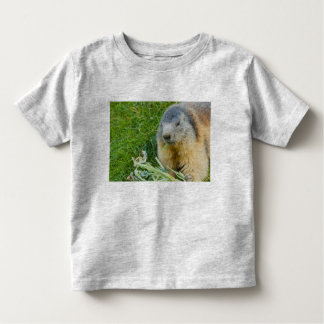 une marmotte sociable sur le sweat - shirt à