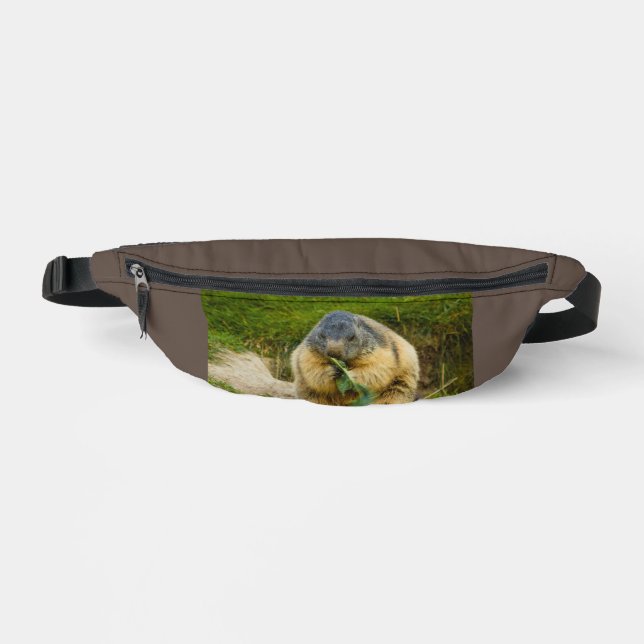 Une marmotte sociable sur un sac banane (Recto)