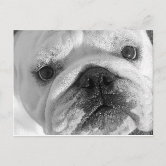 Une nouvelle carte postale d'ami (Devant)