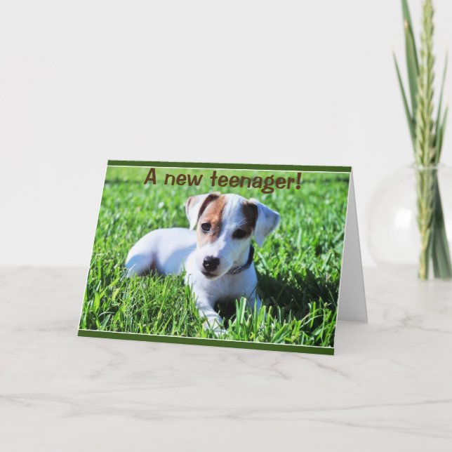 UNE NOUVELLE CARTE POUR ADOLESCENTS ***13*** (Devant)