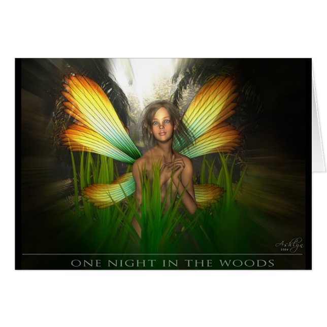 Une nuit dans les bois (Devant horizontal)