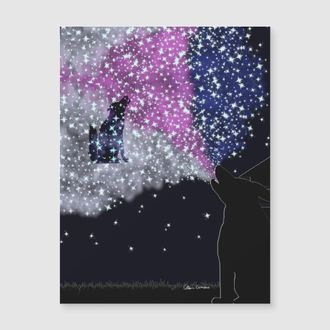 Une nuit d'été avec Sirius (Devant)
