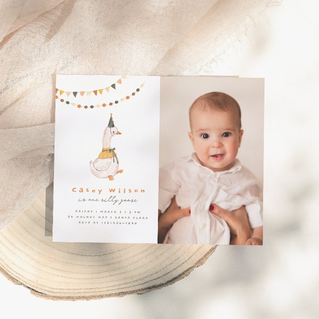 Une oie sotte budget photo Premier anniversaire fê (Créateur téléchargé)