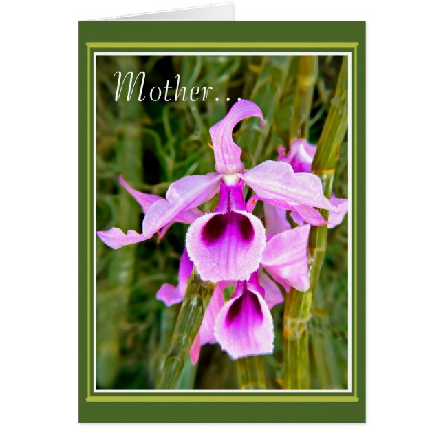 Une orchidée pour mère (Devant)