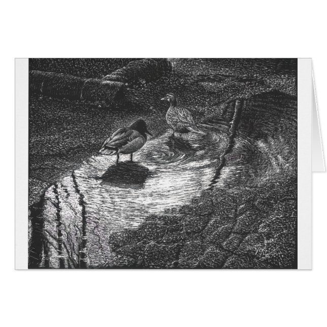 Une paire de canard à un magma après pluie (Devant horizontal)