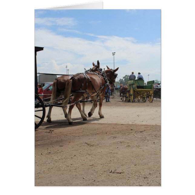 Une paire de Mules Brouillon à un festival de l'Io (Devant)