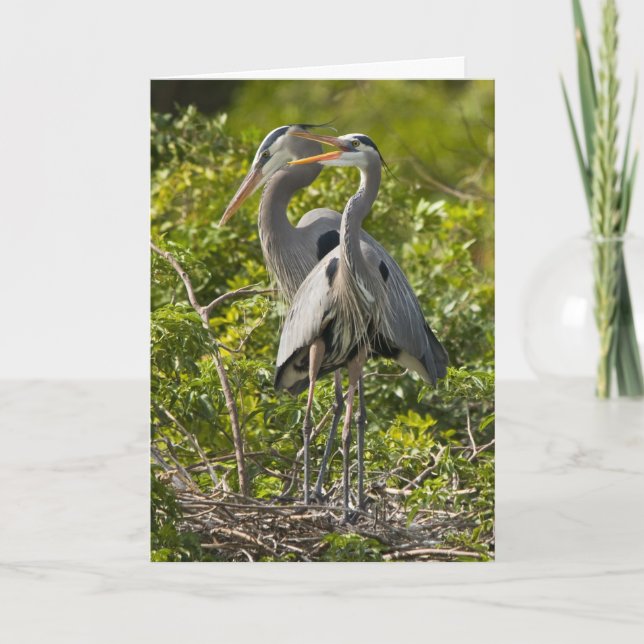 Une petite carte d'anniversaire de birdie (Devant)