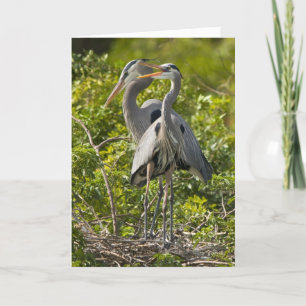 Une petite carte d'anniversaire de birdie
