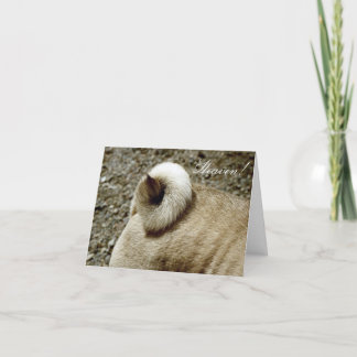 Une petite Curliche dans votre carte Life Note