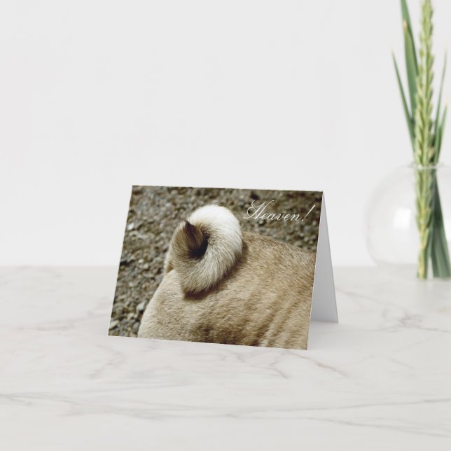 Une petite Curliche dans votre carte Life Note (Devant)