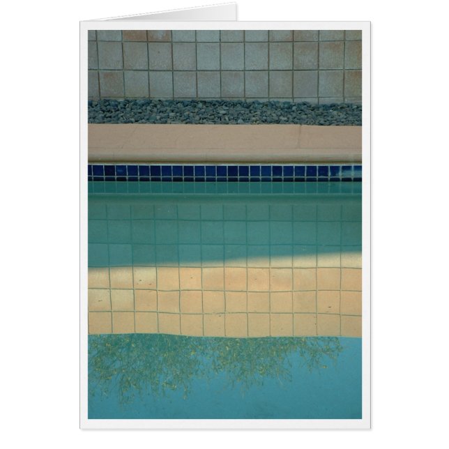 Une piscine pour Wyman (Devant)