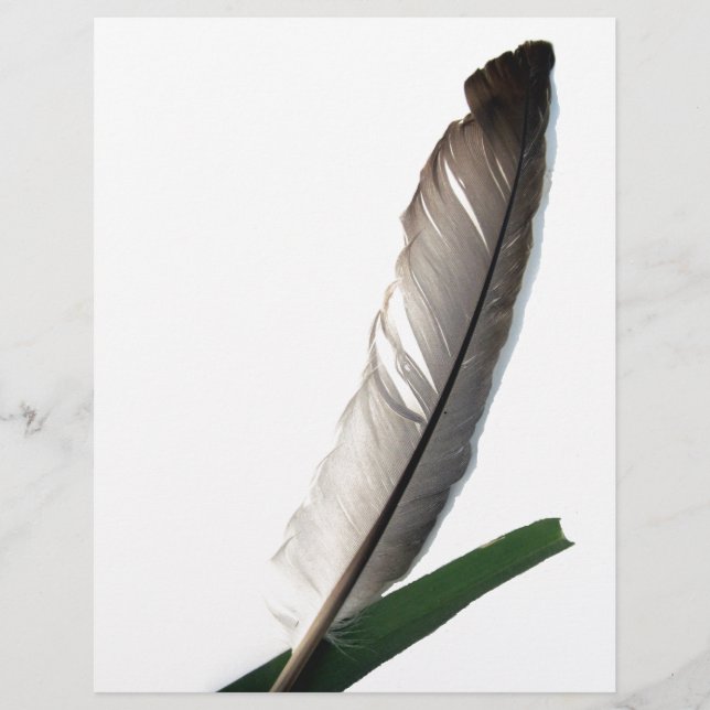 Une plume (Devant)