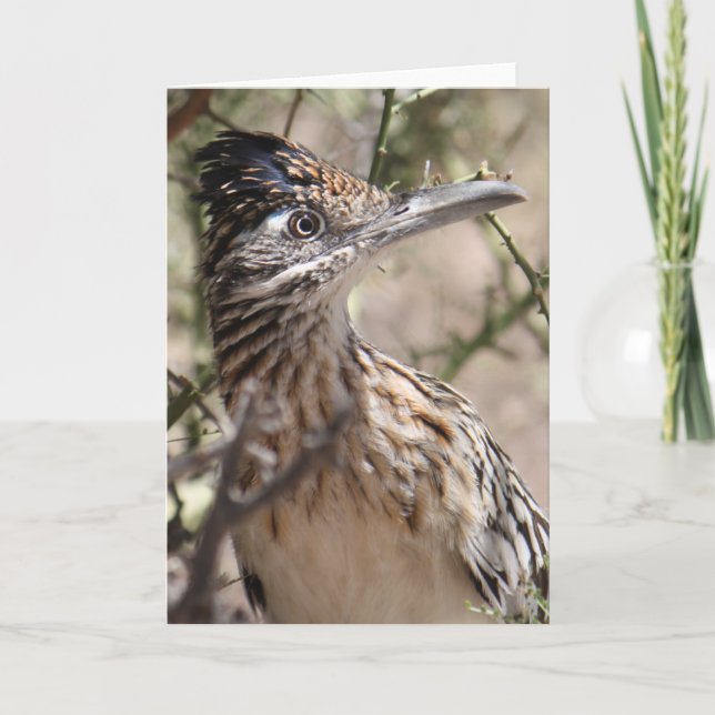 Une plus grande carte de voeux de Roadrunner (Devant)