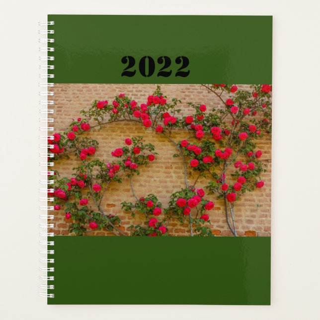 une rose grimpe sur un mur de briques sur planific (Devant)