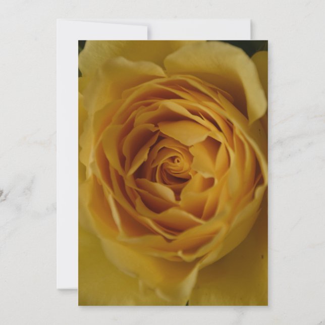 Une rose jaune 60e anniversaire Invitation de fête (Dos)