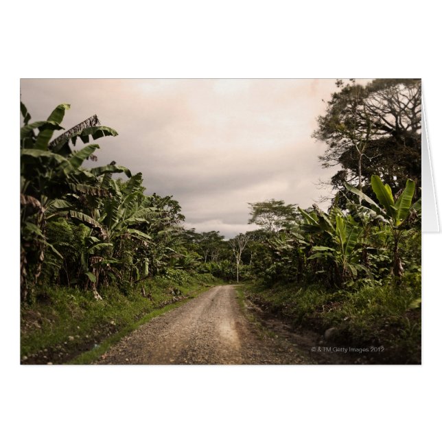 Une route isolée dans la jungle (Devant horizontal)