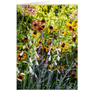 Une ruée de couleurs