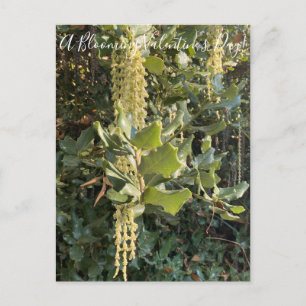 Une Saint-Valentin florissante ! Carte postale