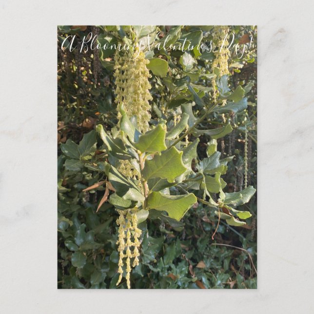 Une Saint-Valentin florissante ! Carte postale (Devant)