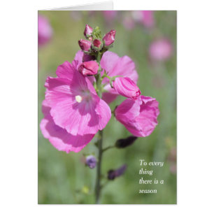 Une saison et le temps Hollyhock Toutes les occasi