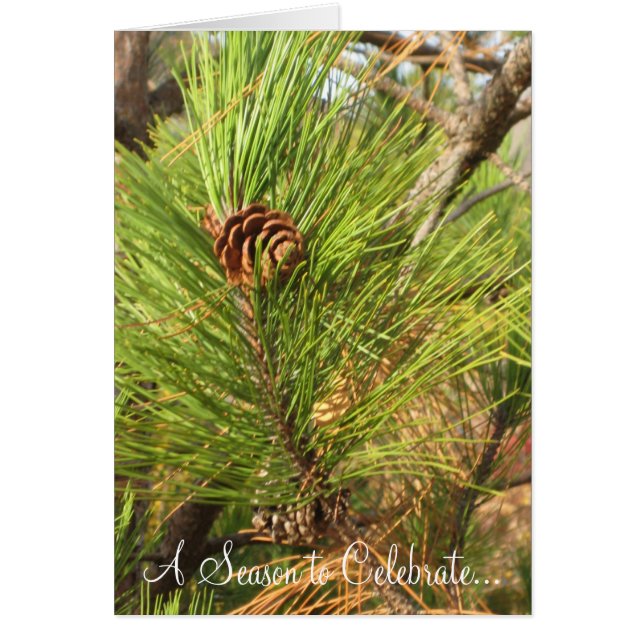 Une saison pour célébrer... (Devant)