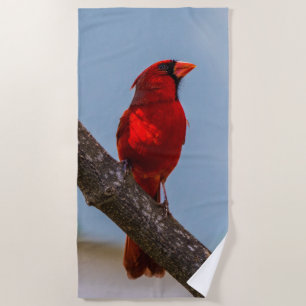 Une serviette de plage Cardinal