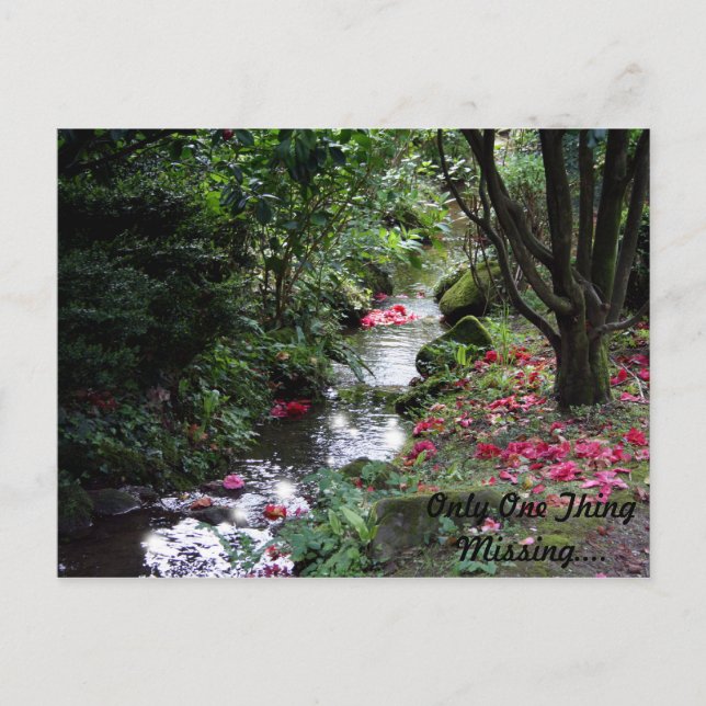 Une seule carte postale manquante (Devant)