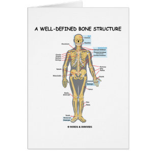 Une structure bien définie d'os (squelette humain)