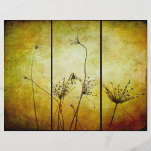 Une Touche De Brochure Nature