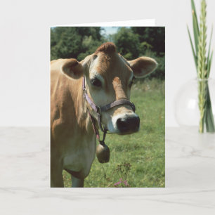 Une Vache Jersey Brown En Été Carte De Voeux Meado