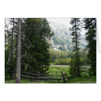Une vallée en parc national de Yellowstone