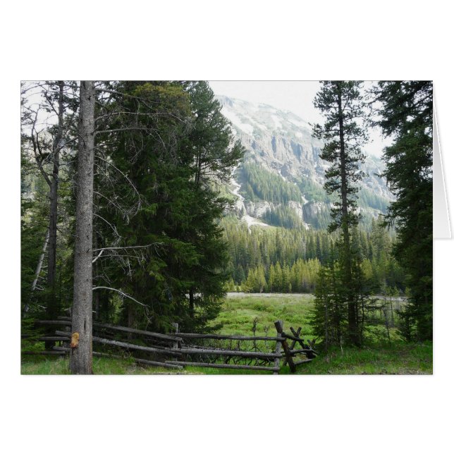 Une vallée en parc national de Yellowstone (Devant horizontal)