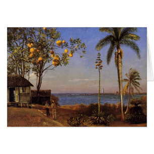 Une vue en Bahamas - Albert Bierstadt