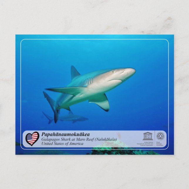 UNESCO - Papahānaumokuākea - Carte postale du réci (Devant)