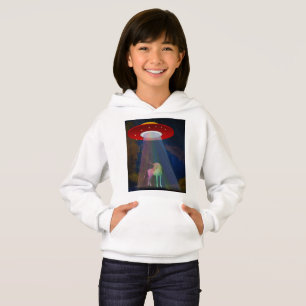 Unicorne sous poutre arc-en-ciel OVNI à la nuit, Z