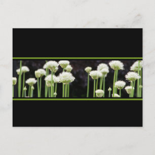 Unique Enregistrer Les Cartes Postales Date